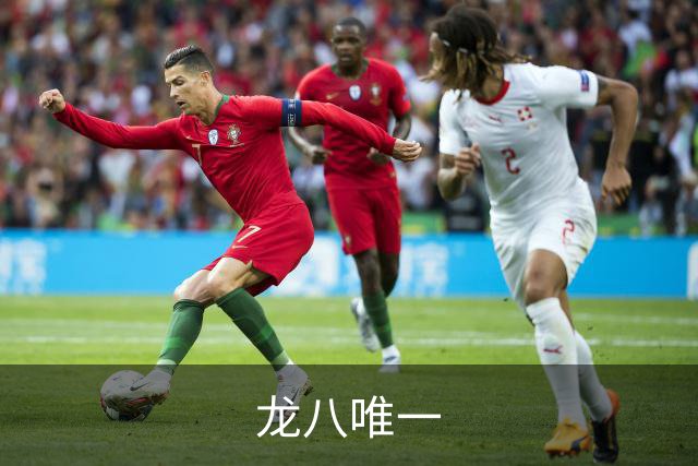 龙八唯一公司简介图片